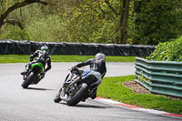 Lower Group Blue Bikes